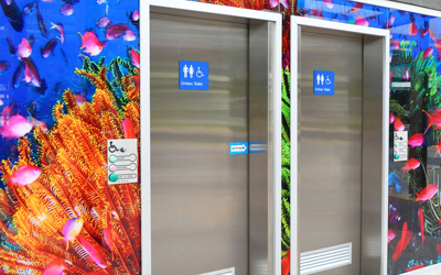 Interior Wall Finishes